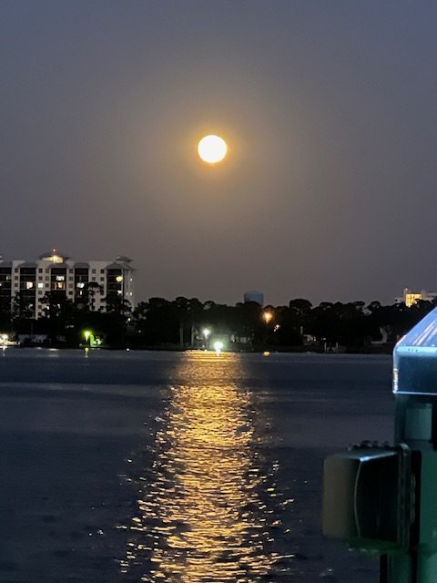 IMG_8635.jpg