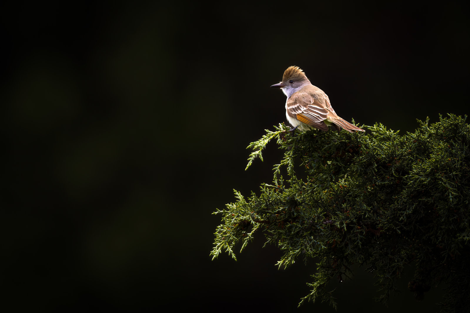 IMG_8720-Edit-Edit.jpg