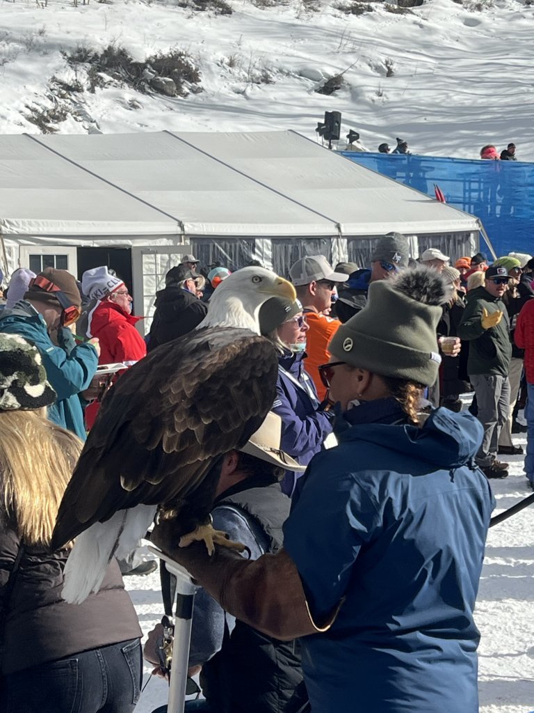 IMG_9363.jpg