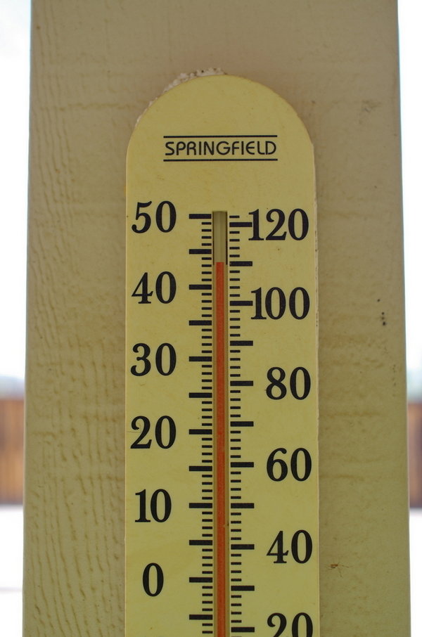 IMGP4773.jpg