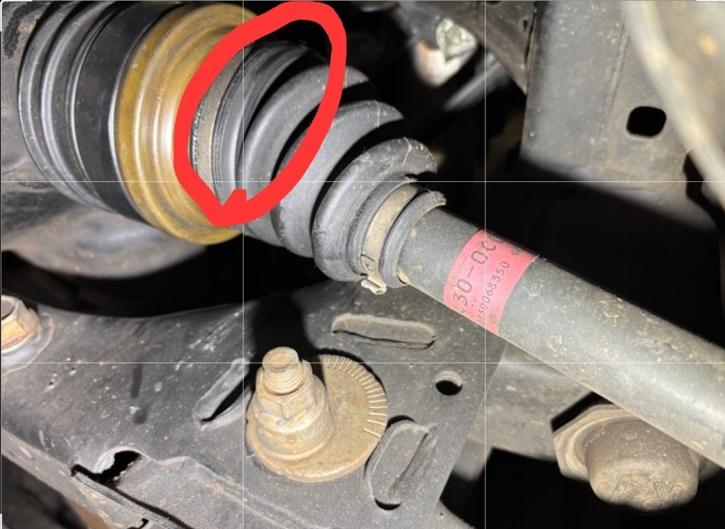 Inner CV boot.jpg