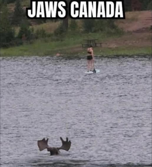 Jaws Eh.jpg