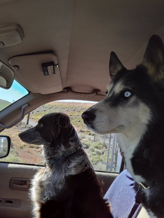 k9s.jpg