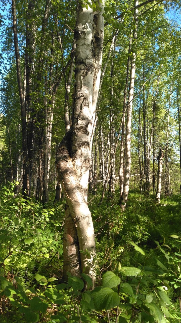 KIMG0603.jpg
