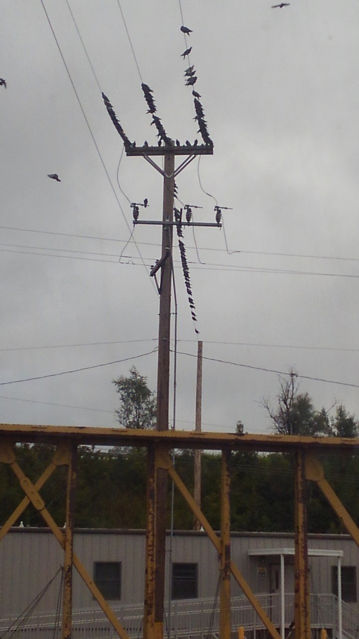 KIMG0960.jpg