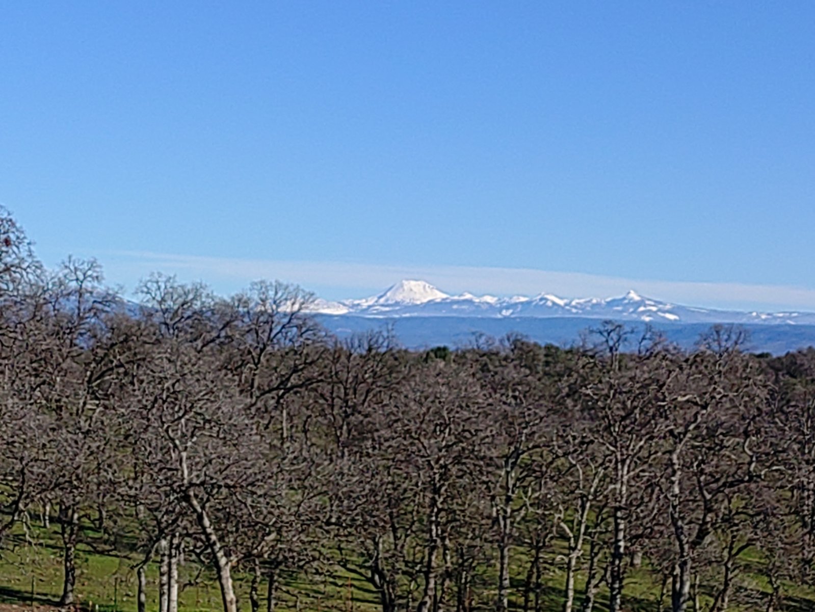 KIMG20240210_151338291.jpg