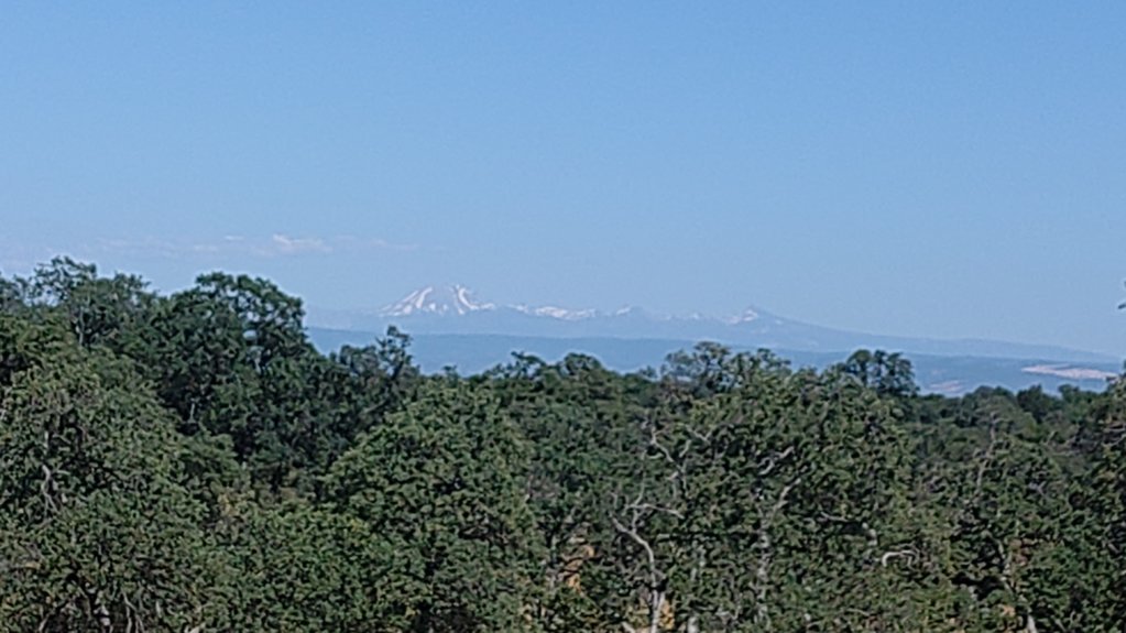 KIMG20250705_165117293.jpg