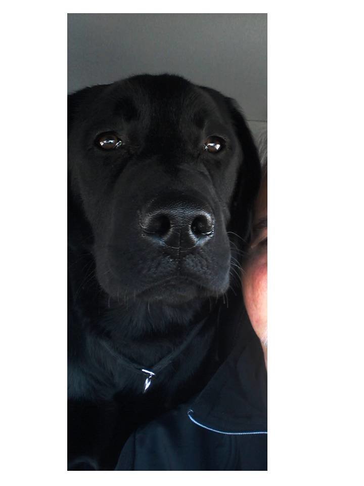 koaltar back seat.jpg