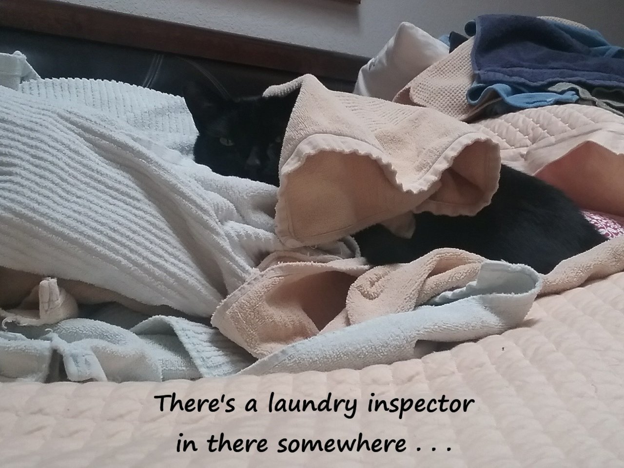 Laundry Edit.jpg
