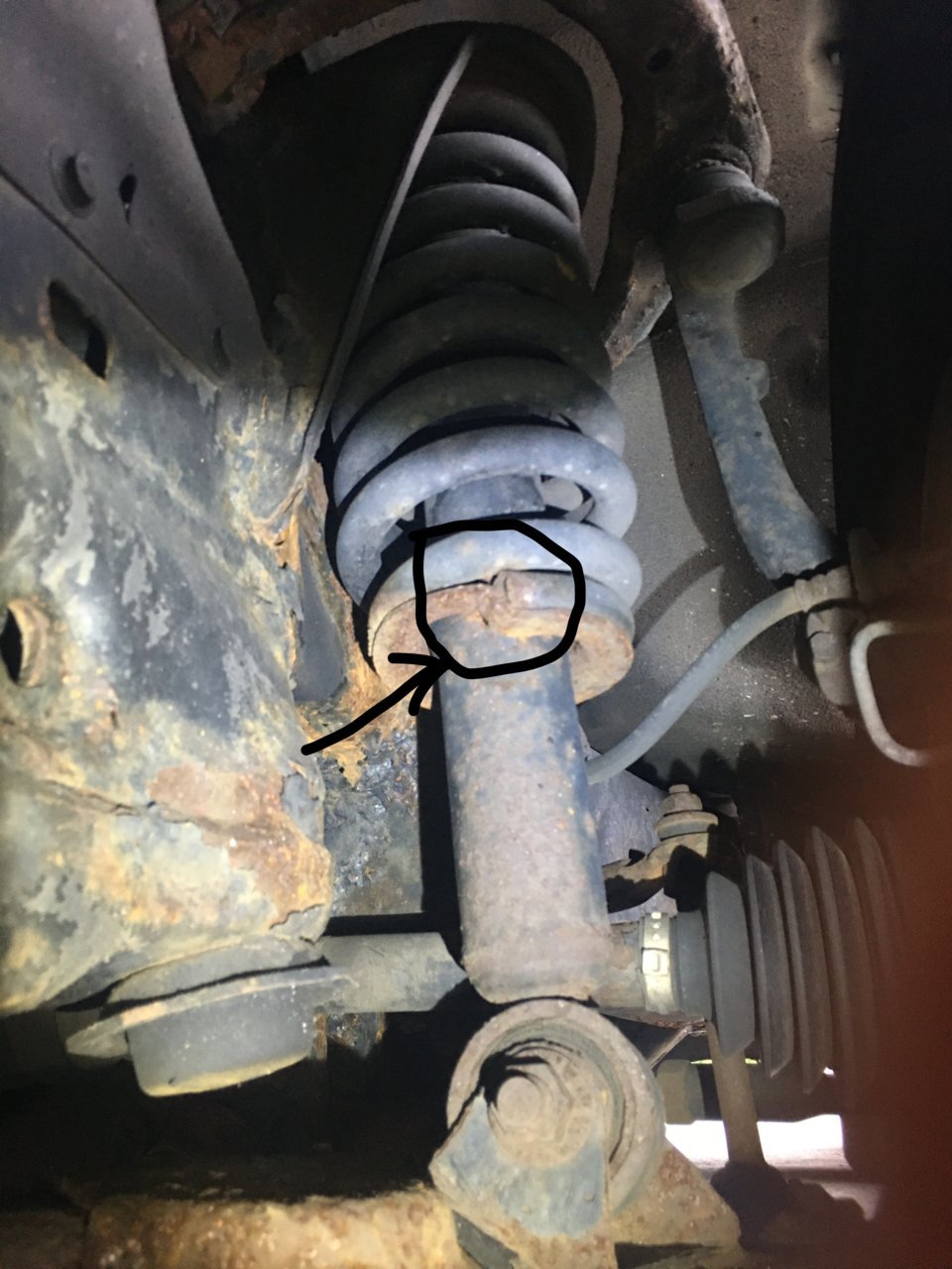 left front shock_MU.jpg
