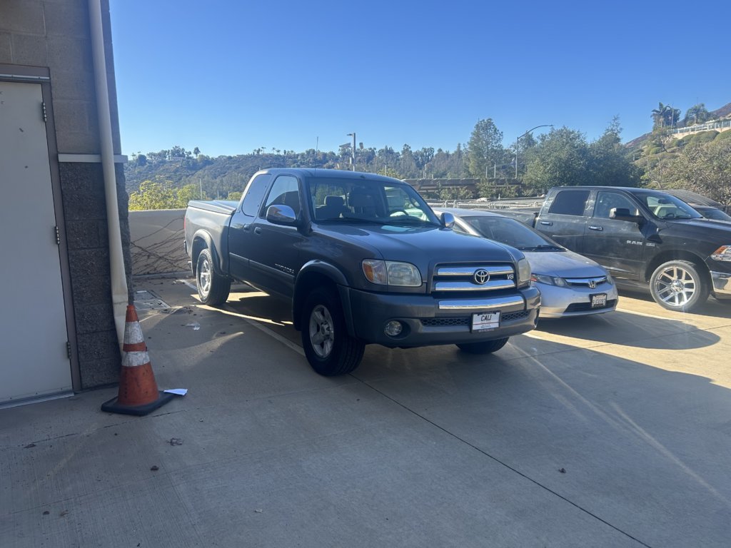 Leo's Tundra.jpg
