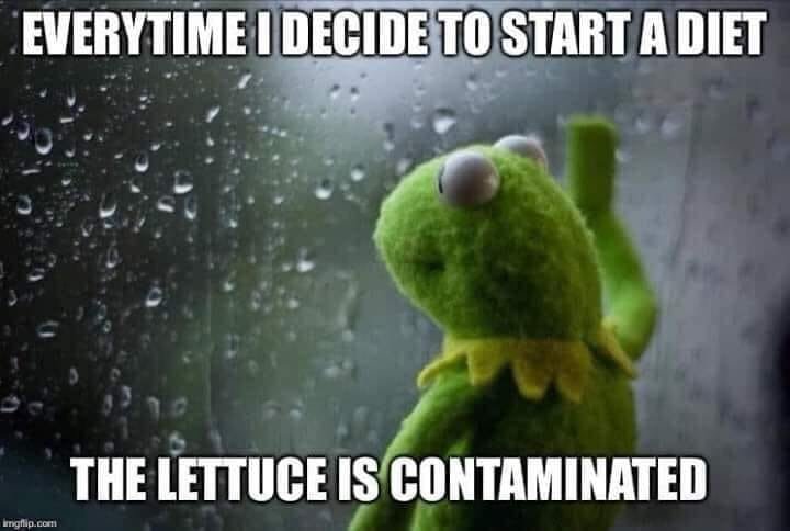 lettuce.jpg