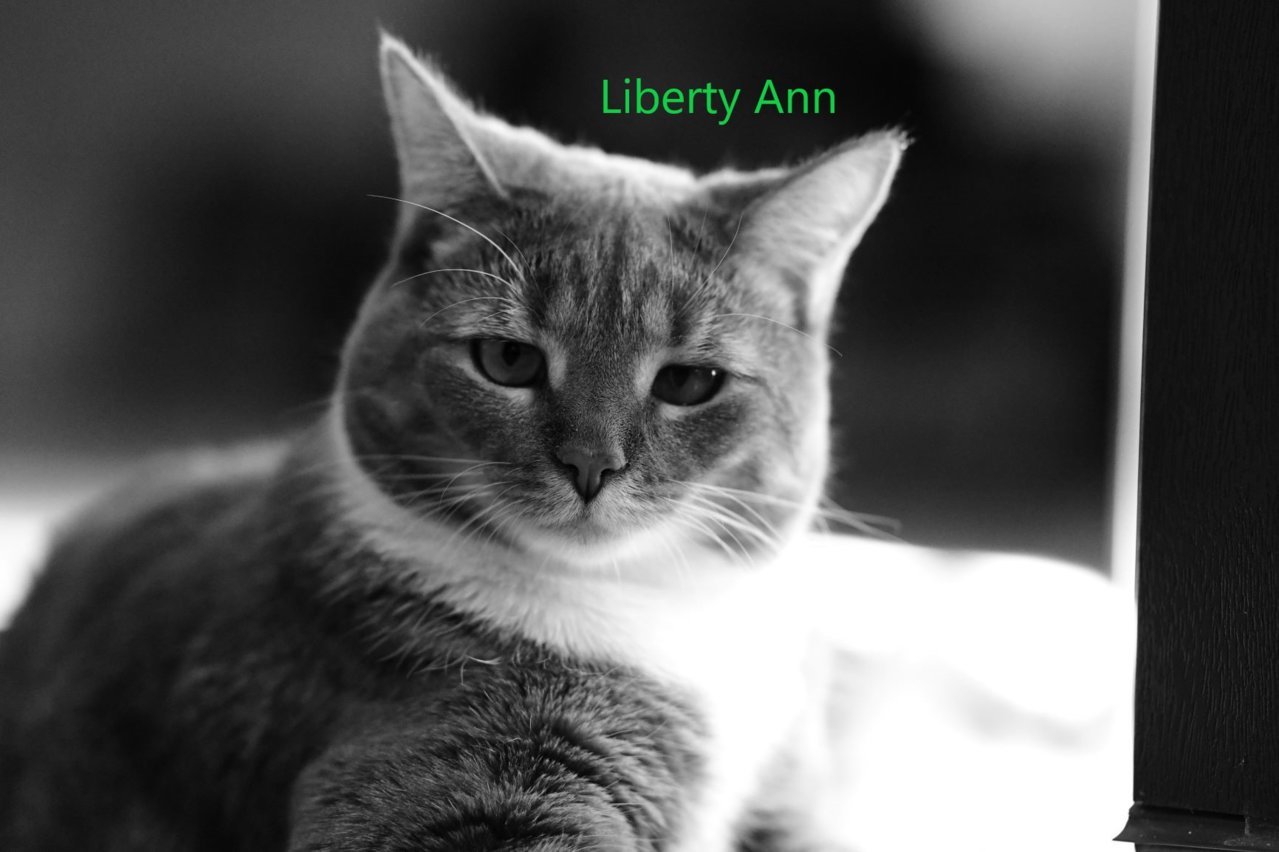 LibertyAnn.jpg