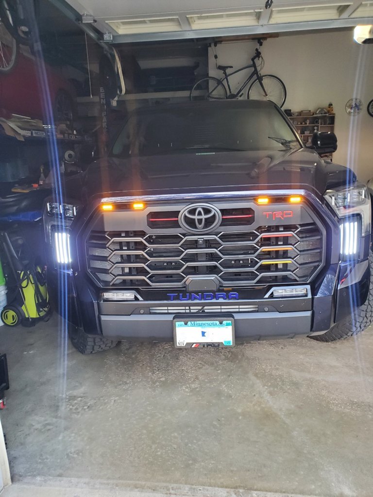 lights1.jpg