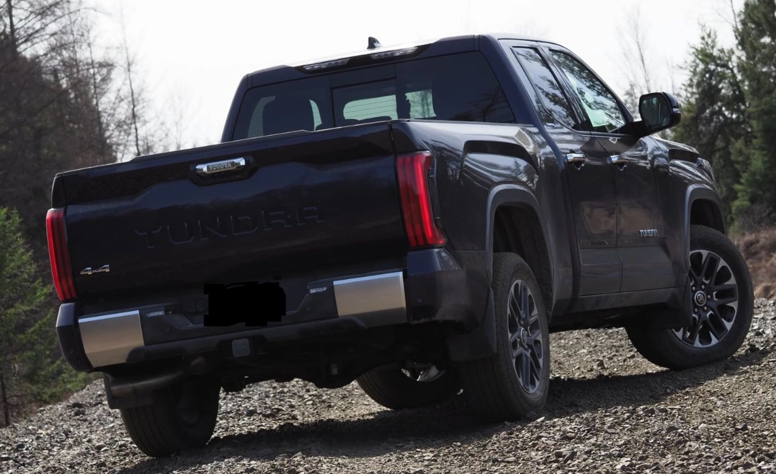 limited rear.jpg