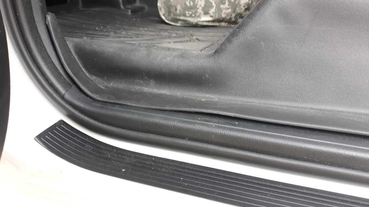 liner 1.jpg