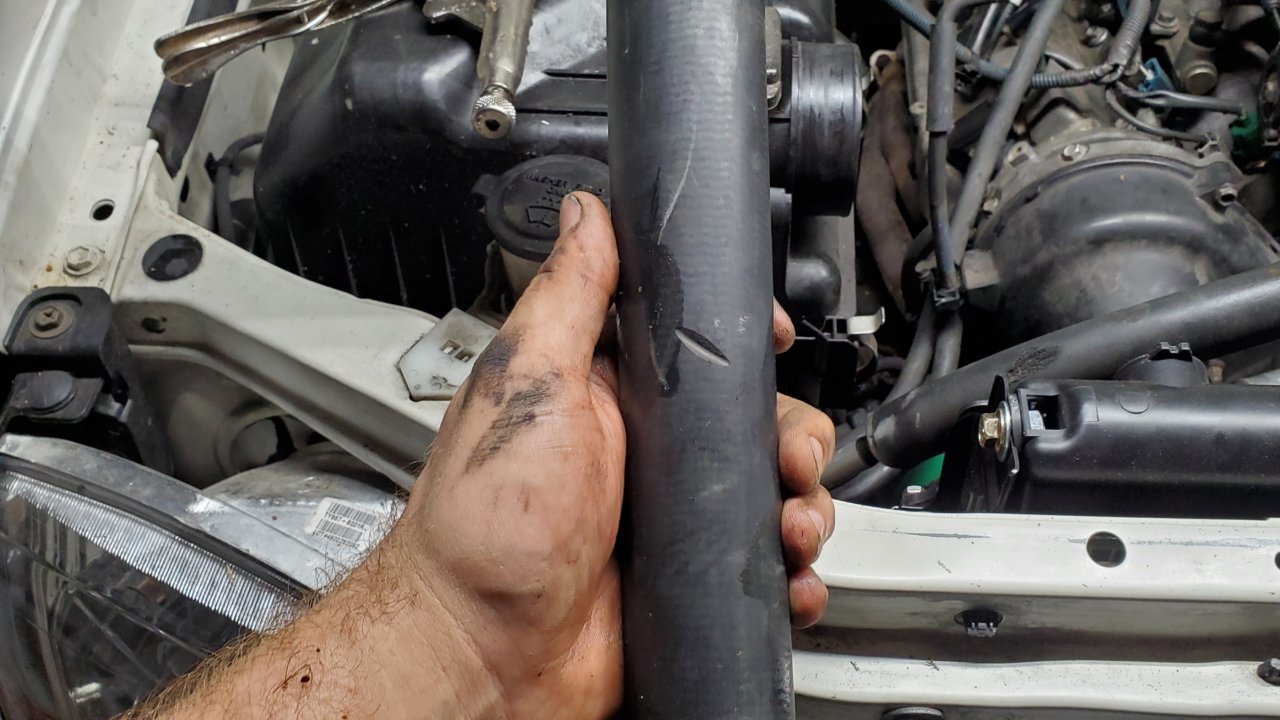 Lower Rad hose.jpg