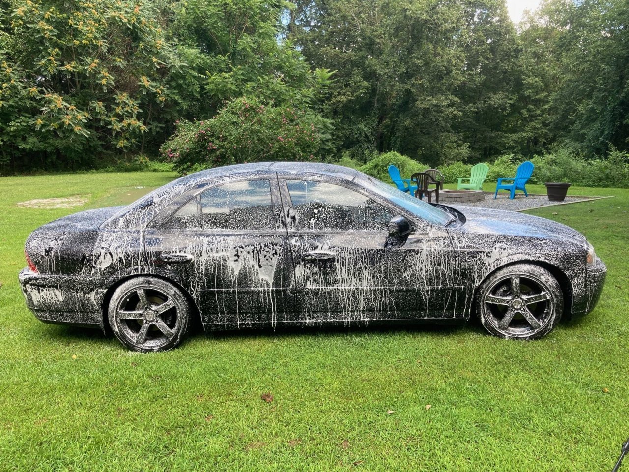 ls1.jpg