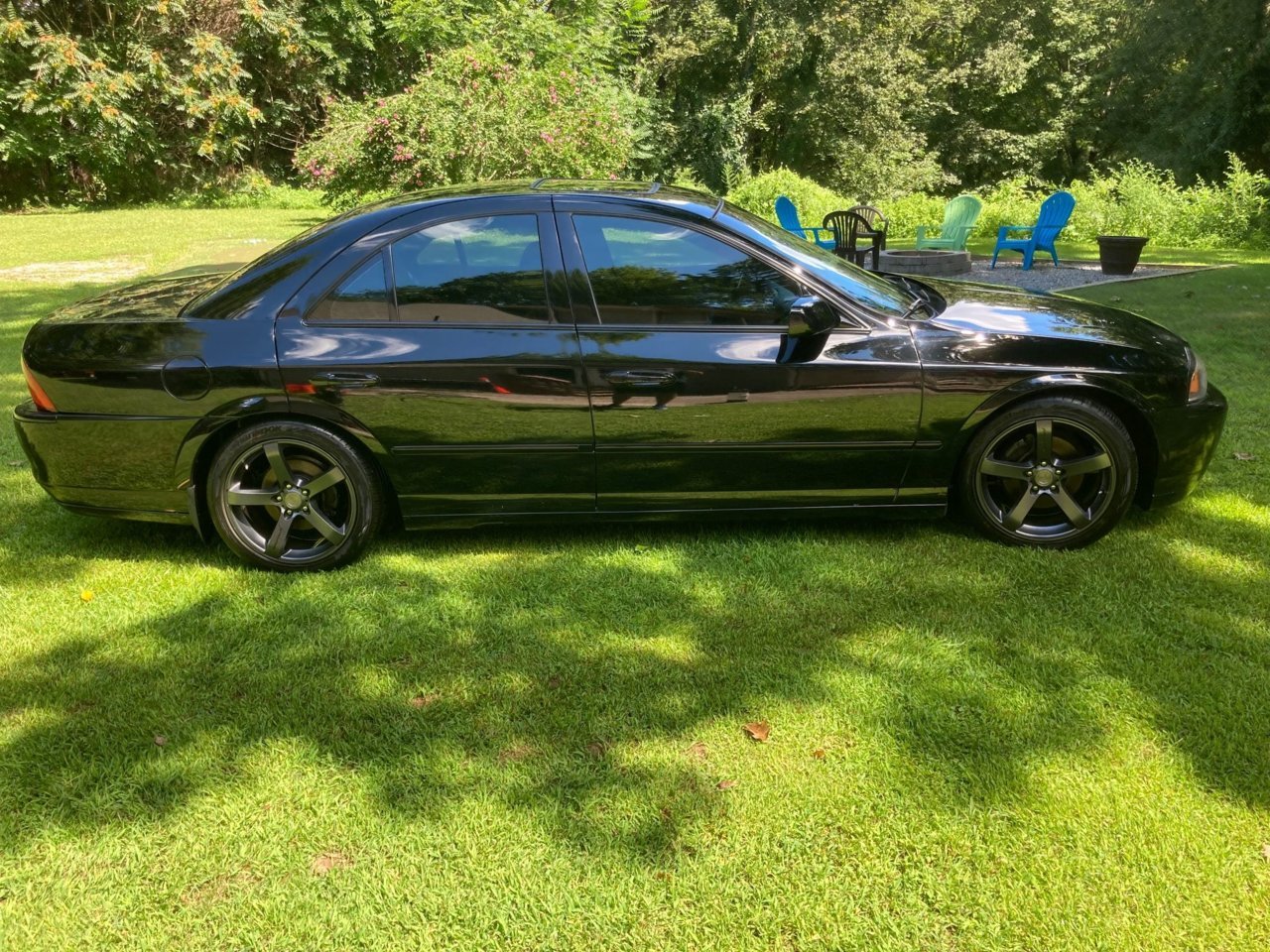 ls2.jpg