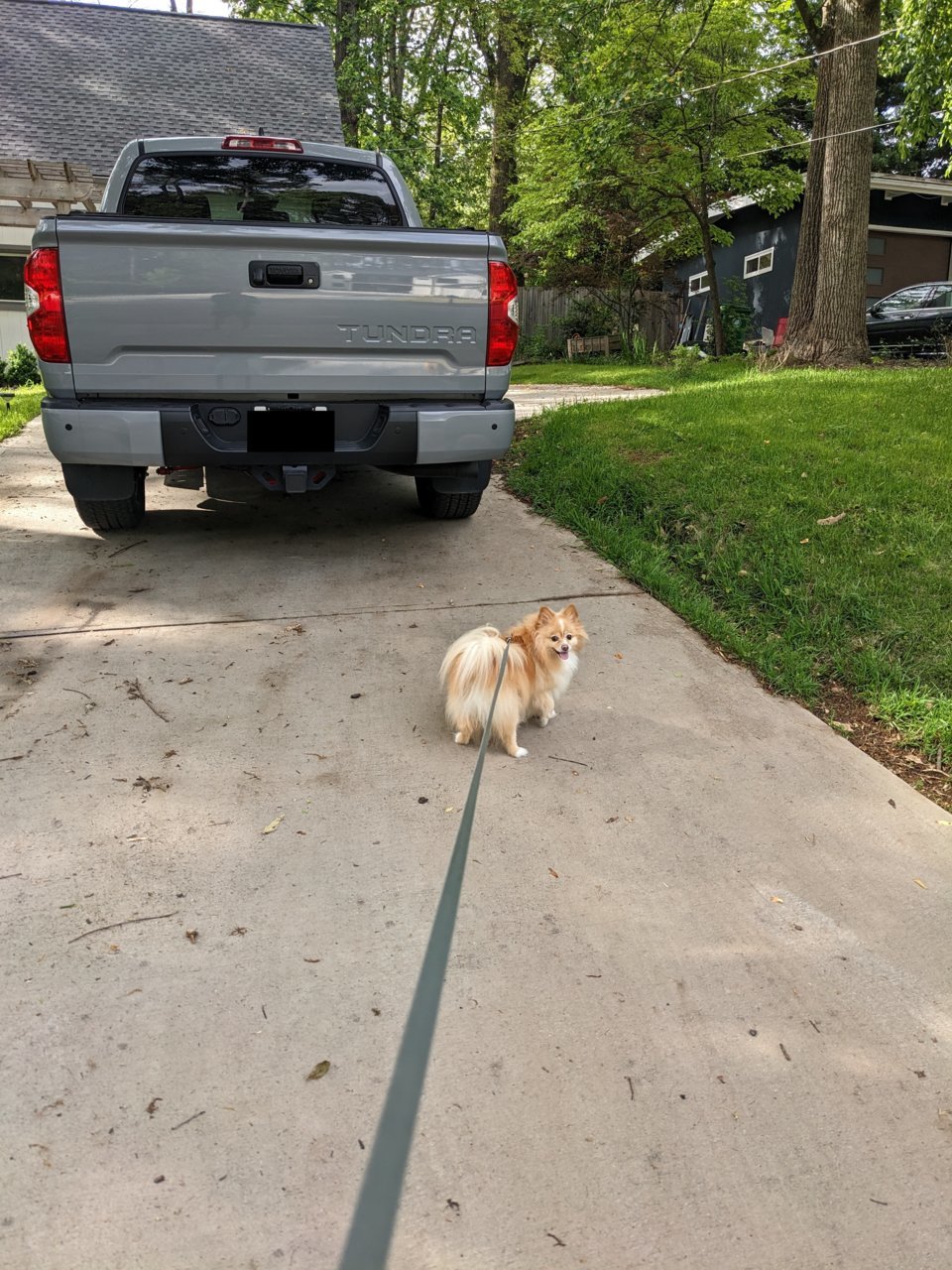 lucy being the goose.jpg