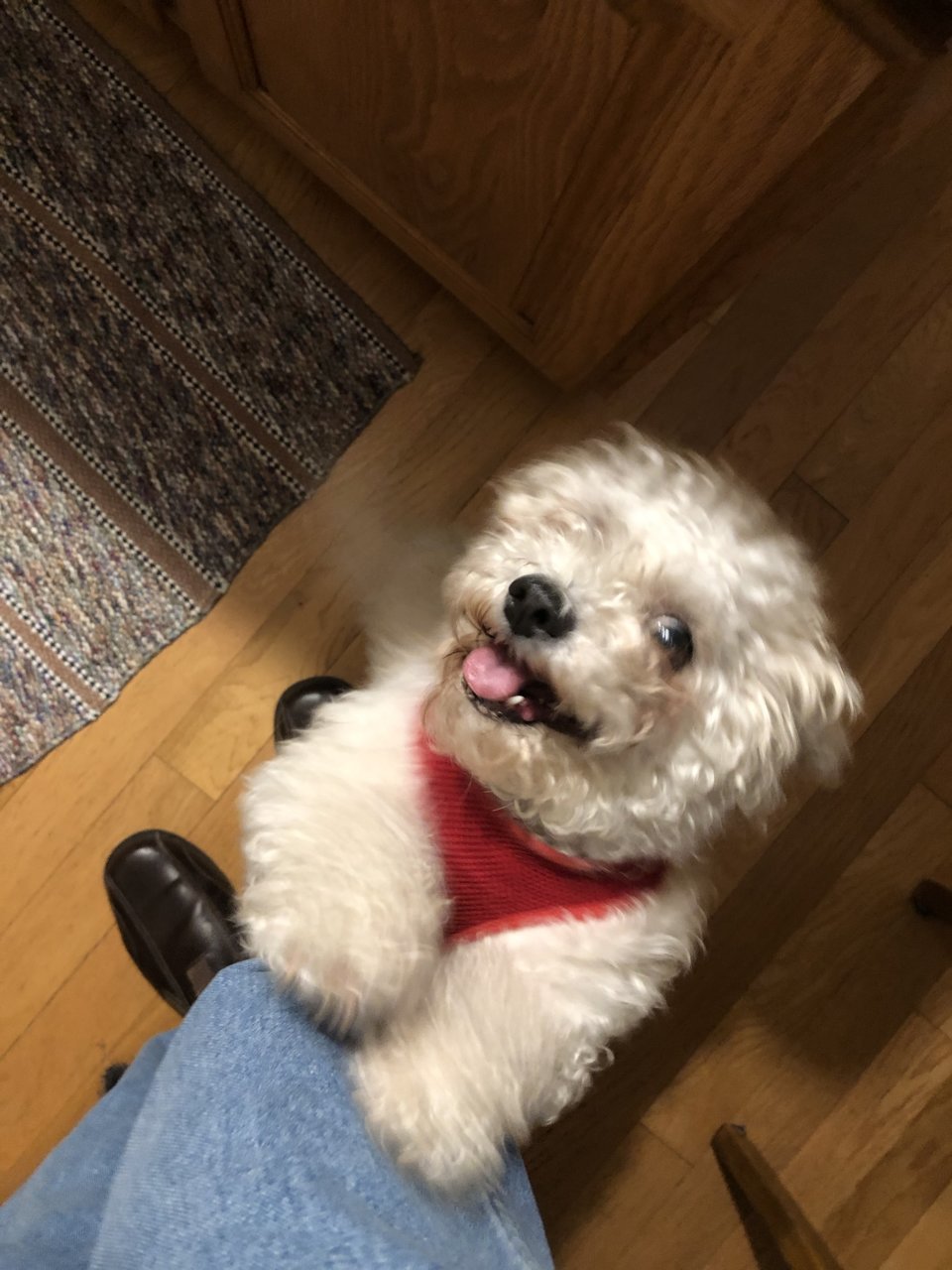 LucyLu.jpg