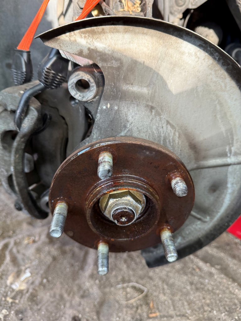 Lugs.jpg