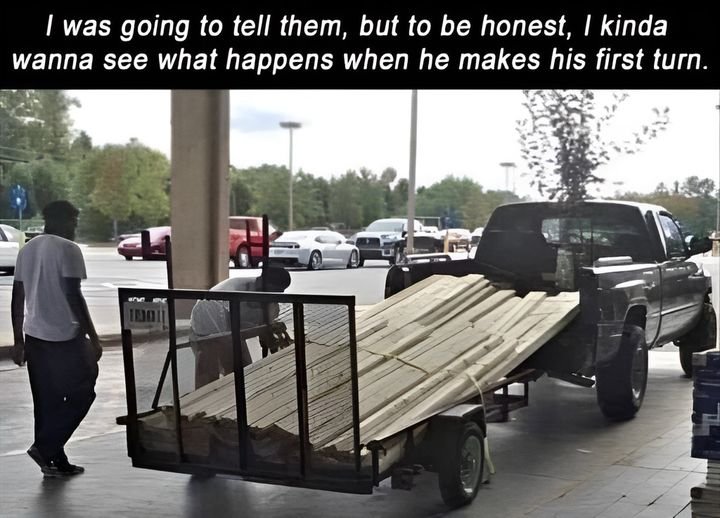 lumber dumber.jpg