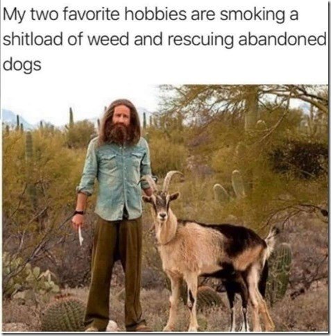 Marijuana & Dog jpg.jpg