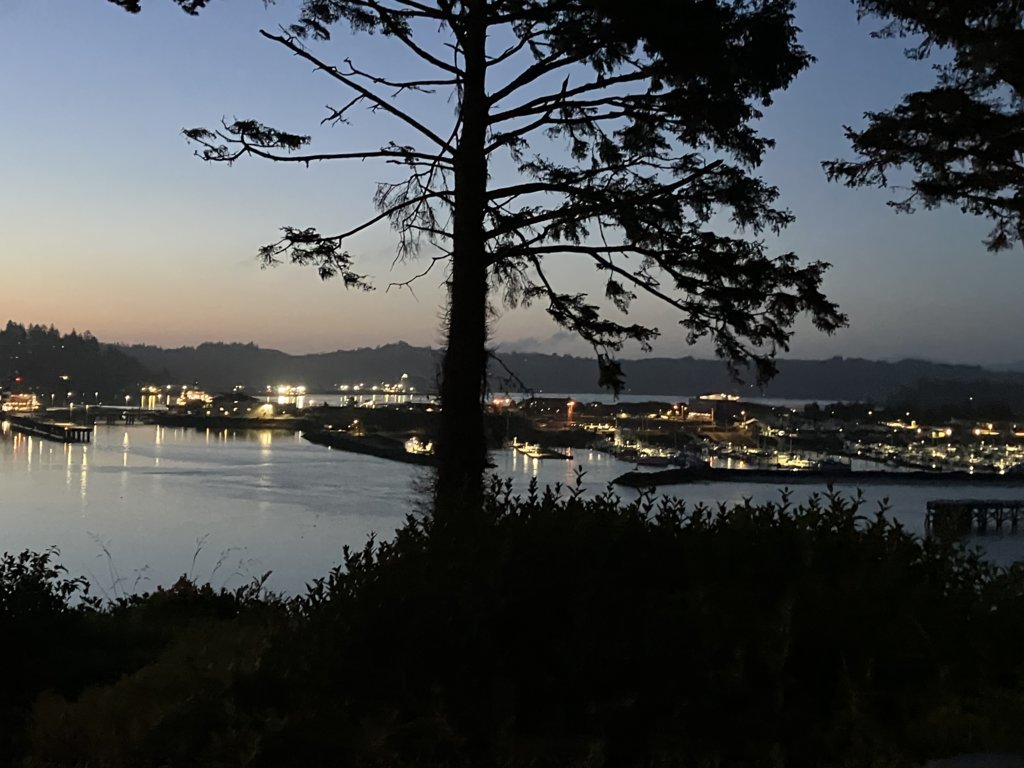 Marina0500.jpg