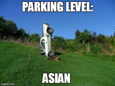 Meme Asian Driver.jpg