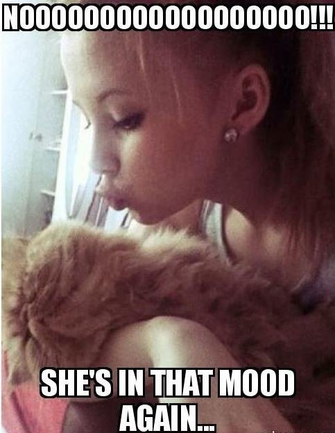meme_no_she_s_in_that_mood_again_by_sir_meme-d7y6ra8.jpg