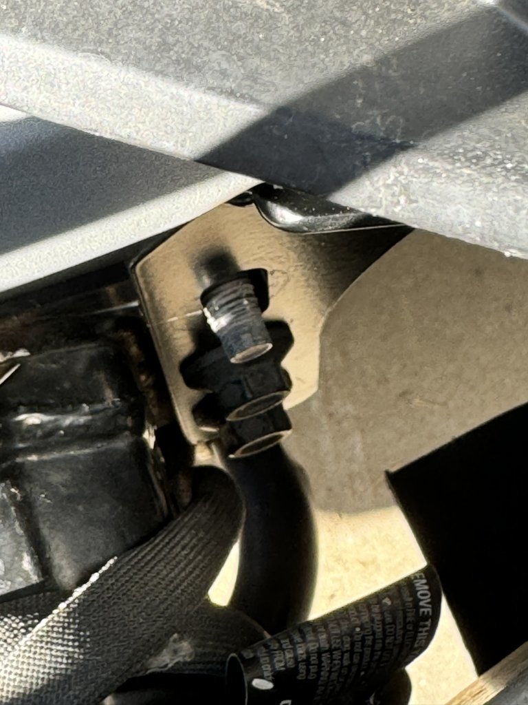 Mighty Mouse bumper stud.jpg