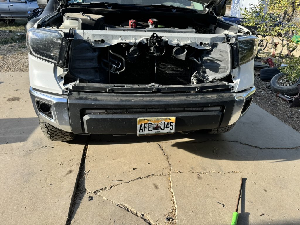 Mighty Mouse DD bar.jpg
