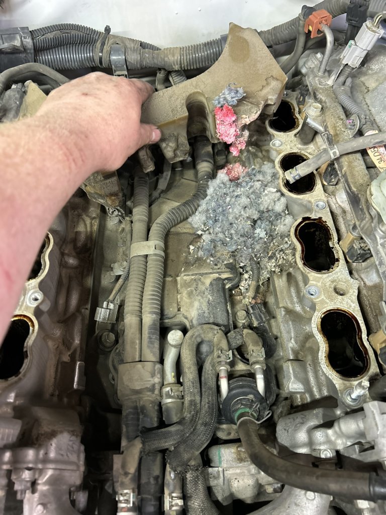 Mighty Mouse heat exchanger & pcv.jpg