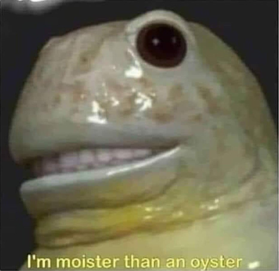 moist.jpg