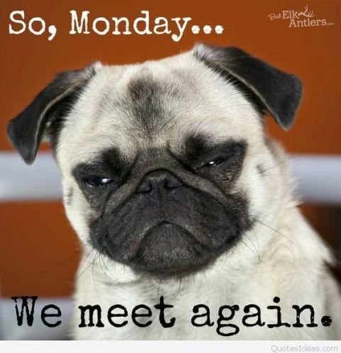 monday2.jpg