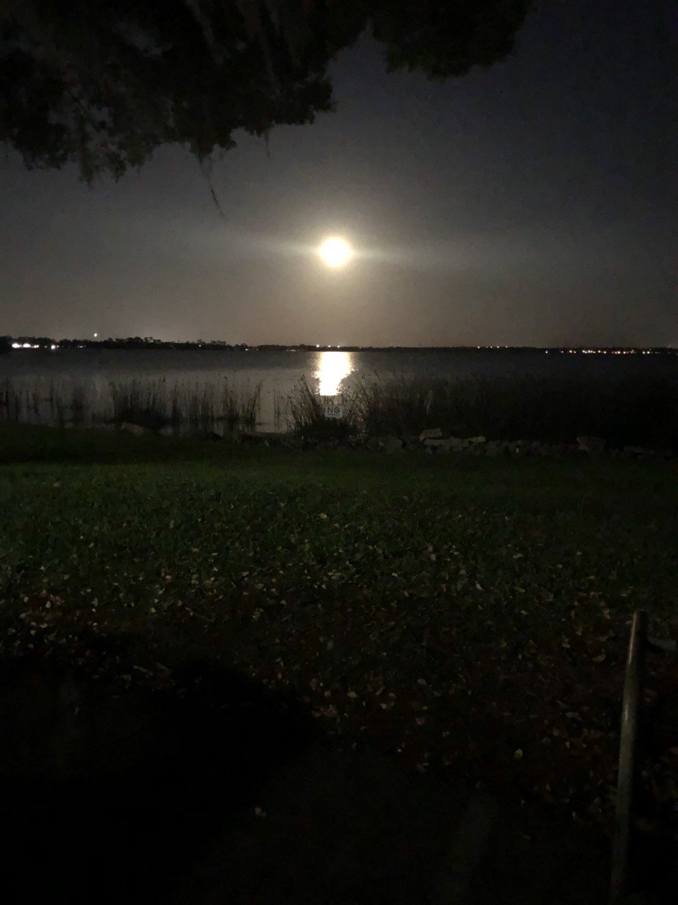 moon light over lake henry.jpg