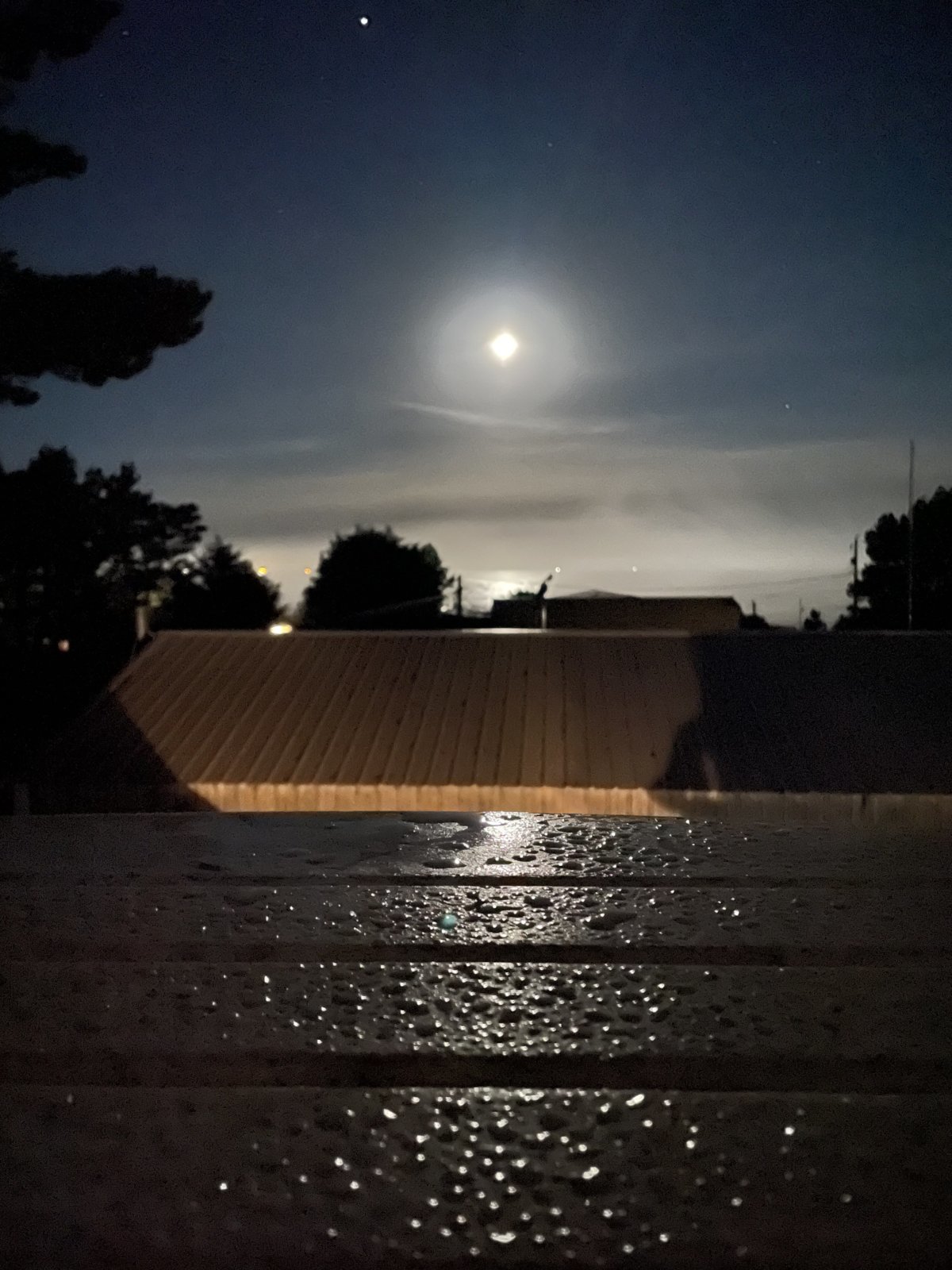 Moonlight.jpg