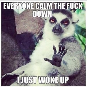 morning-memes7-300x300.jpg