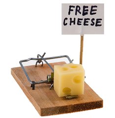 mouse-trap.jpg