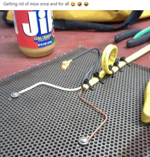 mouse trap.jpg