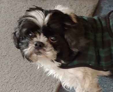 Mr. Bb.jpg