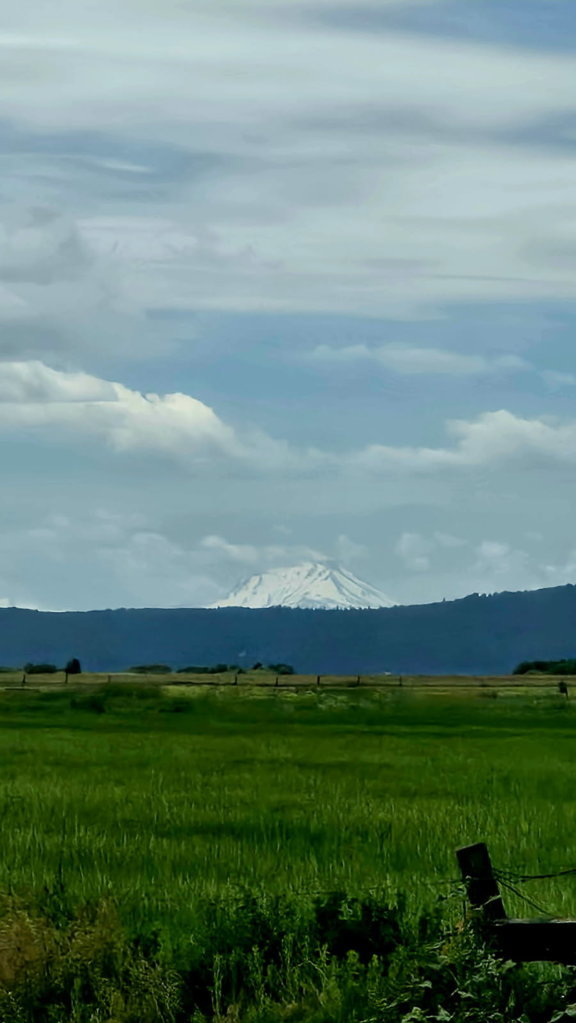 Mt Shasta.jpg