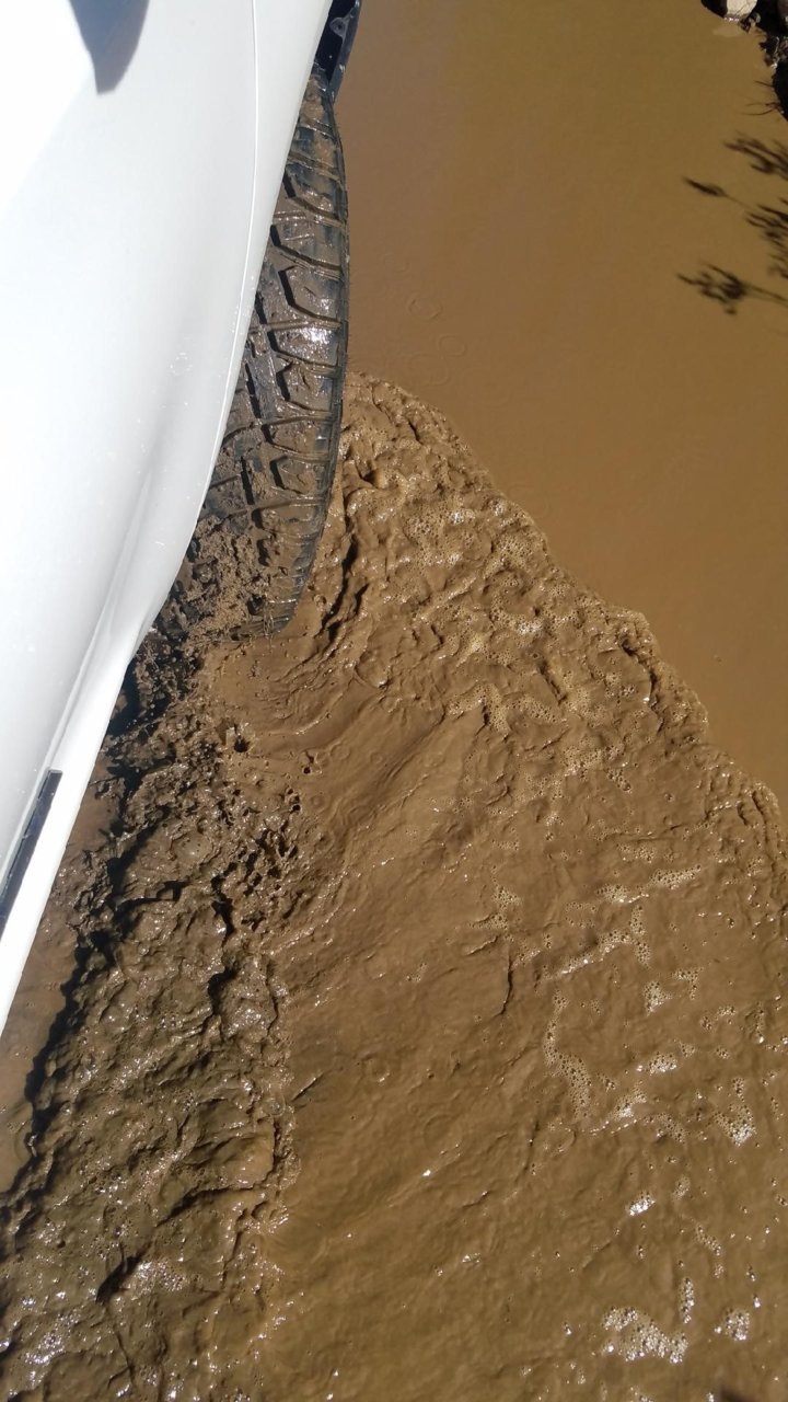 Muddy water.jpg