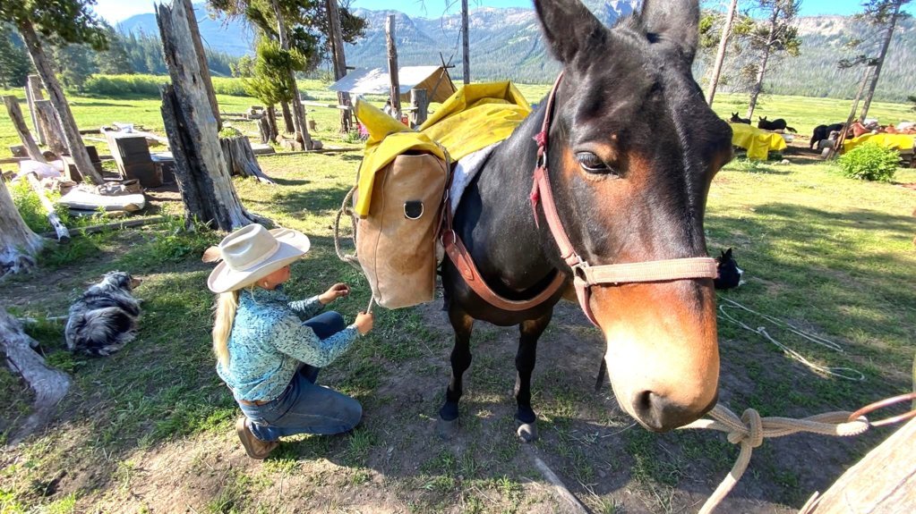 mule.jpg