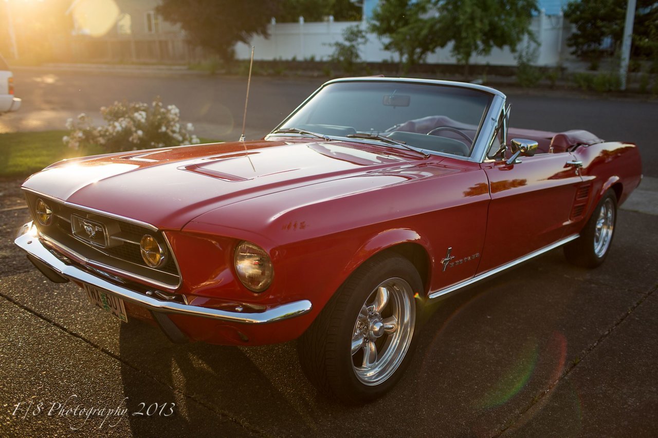 Mustang.jpg
