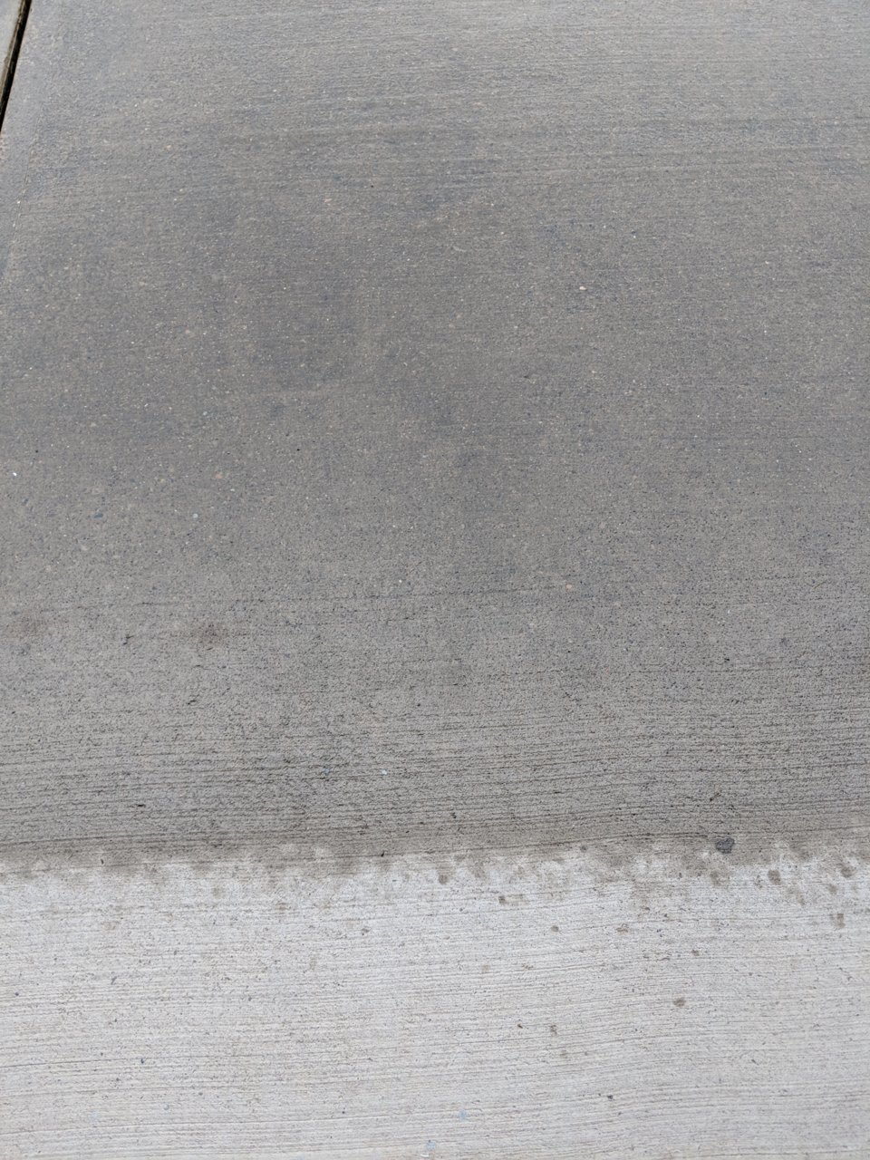 MVIMG_20180831_072019.jpg
