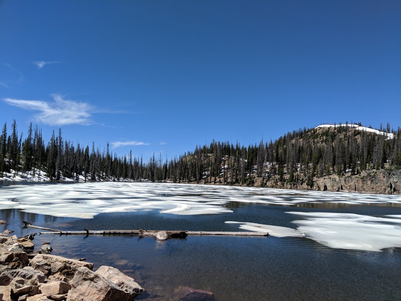 MVIMG_20190629_113509.jpg