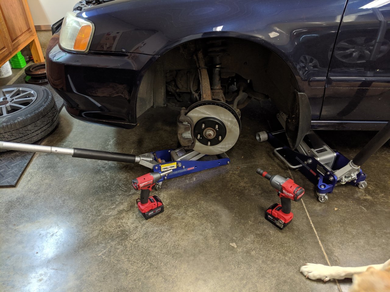 MVIMG_20191102_085013.jpg