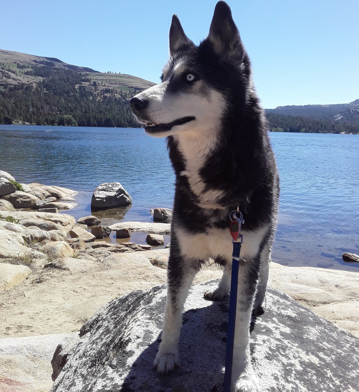 mya alpine lake 3.jpg